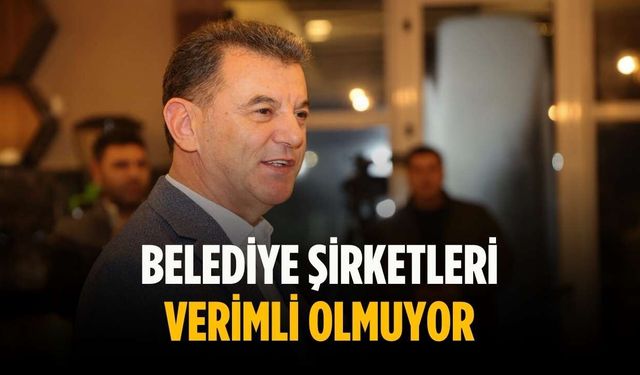 Başkan Çetin: Belediye şirketleri verimli olmuyor