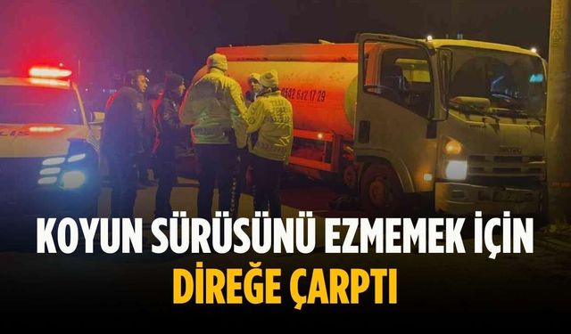 Koyun sürüsünü ezmemek için direğe çarptı