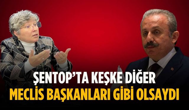 “Şentop’ta keşke diğer meclis başkanları gibi olsaydı”