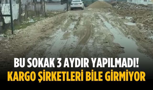 Bu sokak 3 aydır yapılmadı! Kargo şirketleri bile girmiyor