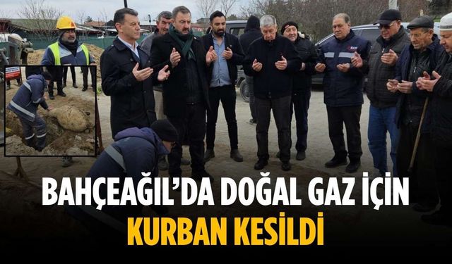 Bahçeağıl’da doğal gaz için kurban kesildi