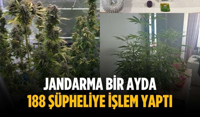 Jandarma bir ayda 188 şüpheliye işlem yaptı