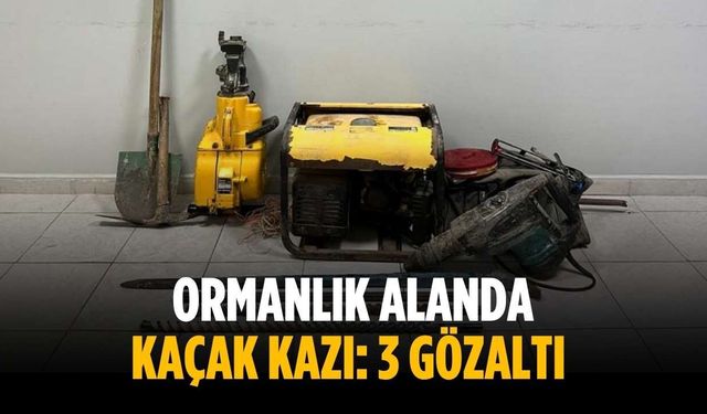Ormanlık alanda kaçak kazı: 3 gözaltı