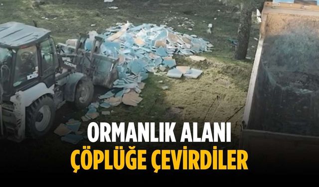 Ormanlık alanı çöplüğe çevirdiler
