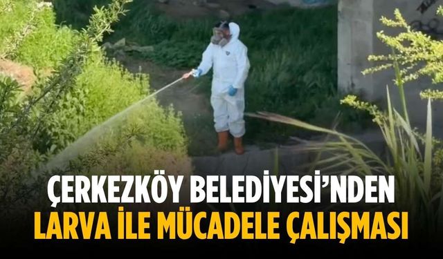Çerkezköy Belediyesi’nden larva ile mücadele çalışması