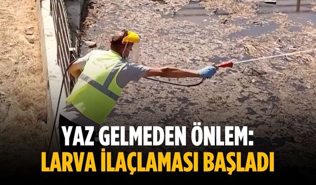 Yaz gelmeden önlem: Larva ilaçlaması başladı