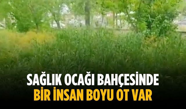 “Sağlık ocağı bahçesinde bir insan boyu ot var”