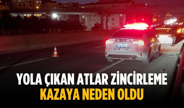 Yola çıkan atlar zincirleme kazaya neden oldu