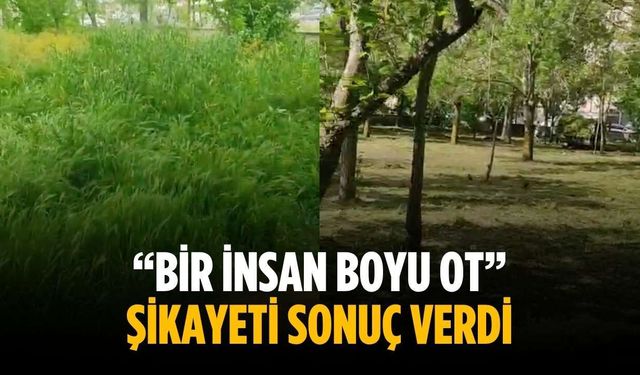 “Bir insan boyu ot” Şikayeti sonuç verdi