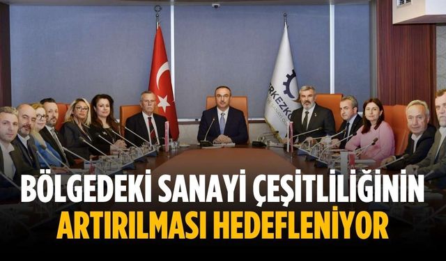 Bölgedeki sanayi çeşitliliğinin artırılması hedefleniyor