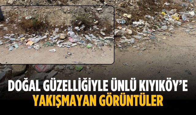 Doğal güzelliğiyle ünlü Kıyıköy’e yakışmayan görüntüler