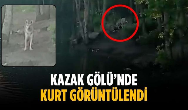 Kazak Gölü’nde kurt görüntülendi