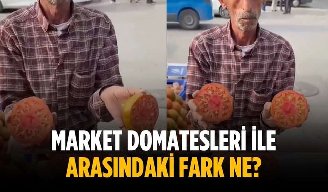 Market domatesleri ile arasındaki fark ne?