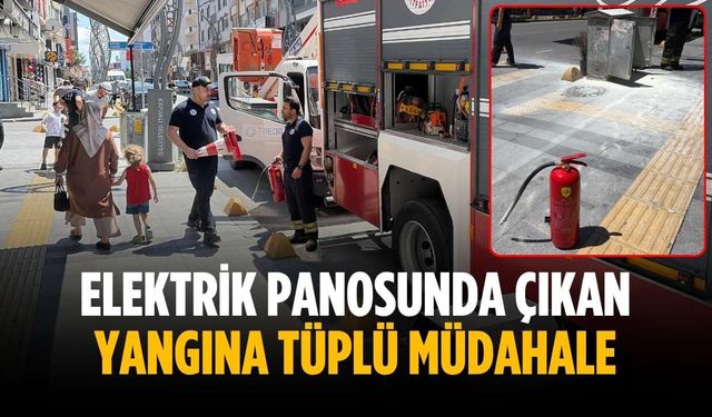Elektrik panosunda çıkan yangına tüplü müdahale