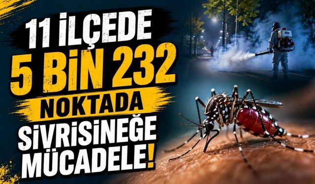 11 ilçede 5 bin 232 noktada sivrisineğe mücadele