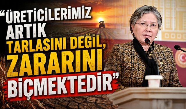 "Üreticilerimiz artık tarlasını değil, zararını biçmektedir”