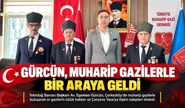 Gürcün, gazilerin özlük hakları ve Çerçeve Yasa taleplerini dinledi