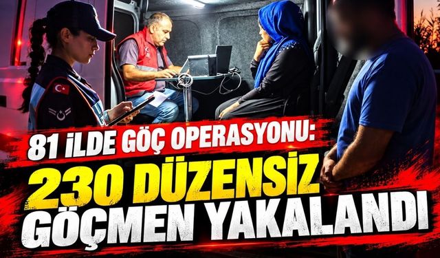 81 ilde göç operasyonu: 230 düzensiz göçmen yakalandı