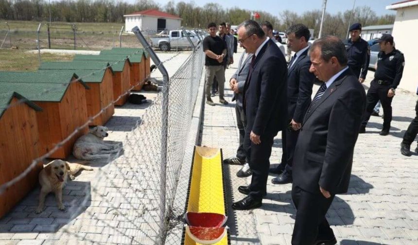 Sokak Hayvanları Rehabilitasyon Merkezi incelendi