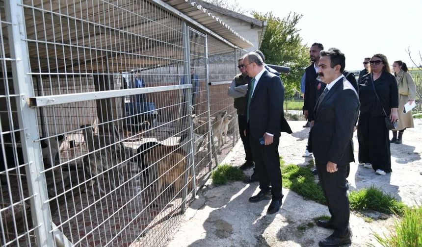 Vali Recep Soytürk, Hayvan Bakım Evi Projesini yerinde inceledi