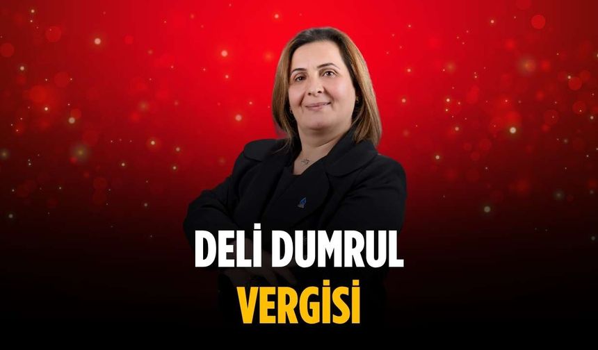 “Deli Dumrul vergisi”