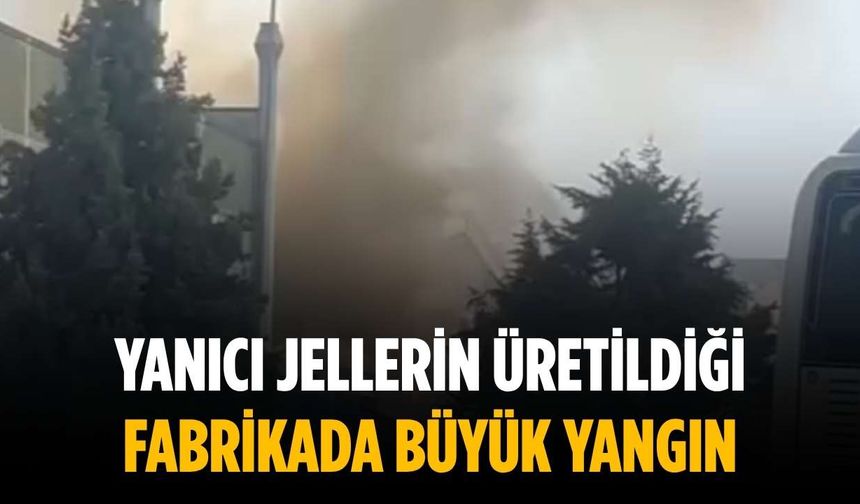 Yanıcı jellerin üretildiği fabrikada büyük yangın
