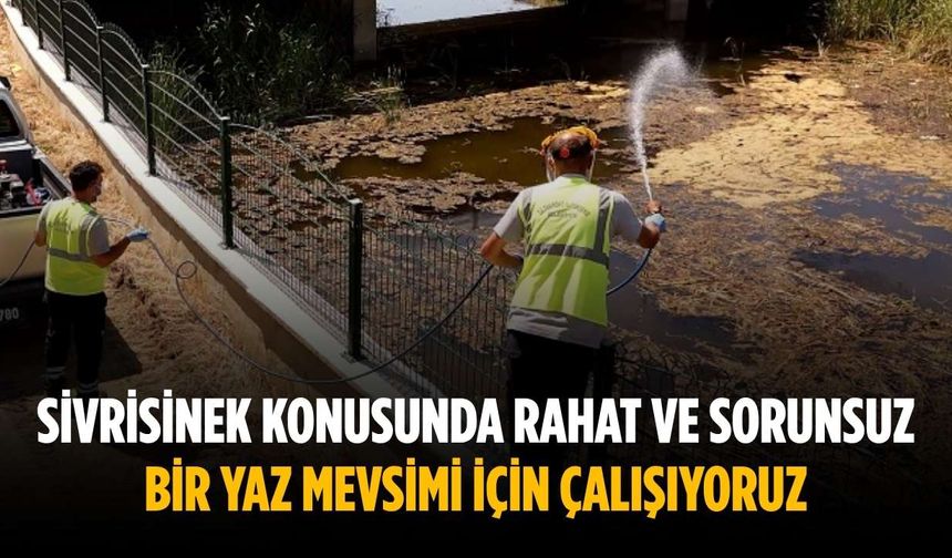 “Sivrisinek konusunda rahat ve sorunsuz bir yaz mevsimi için çalışıyoruz”