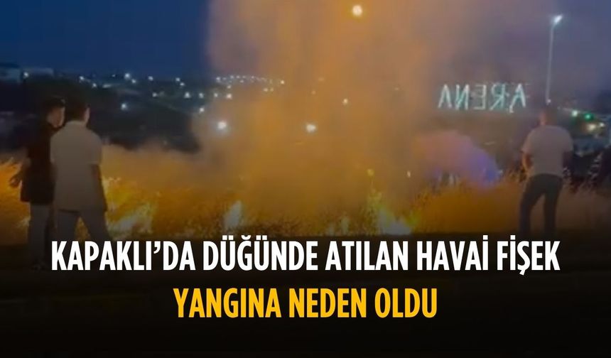 Kapaklı'da düğünde atılan havai fişek yangına neden oldu