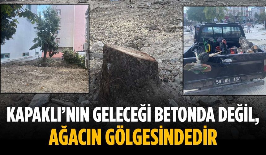“Kapaklı’nın geleceği betonda değil, ağacın gölgesindedir”