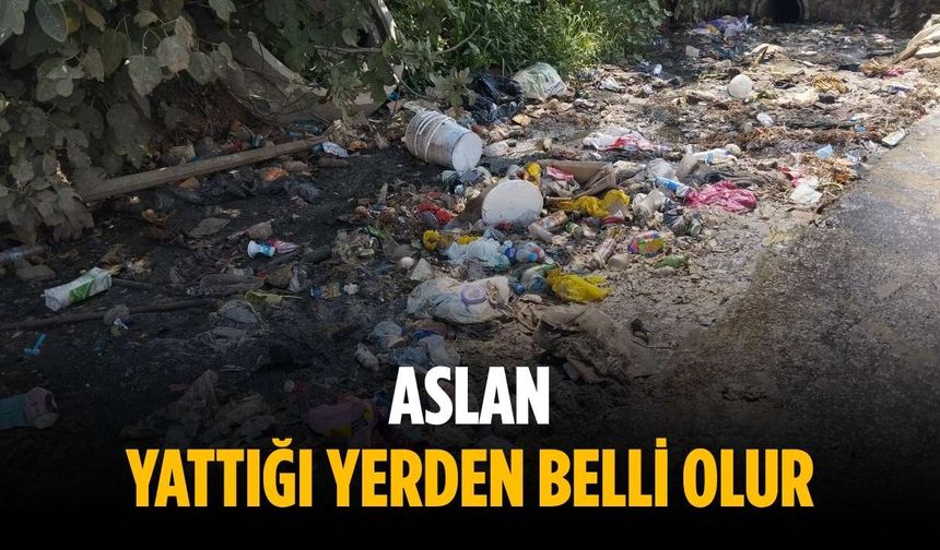 “Aslan yattığı yerden belli olur”