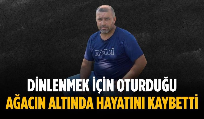 Dinlenmek için oturduğu ağacın altında hayatını kaybetti