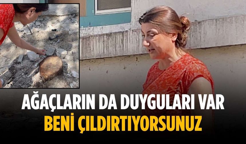 “Ağaçların da duyguları var, beni çıldırtıyorsunuz”