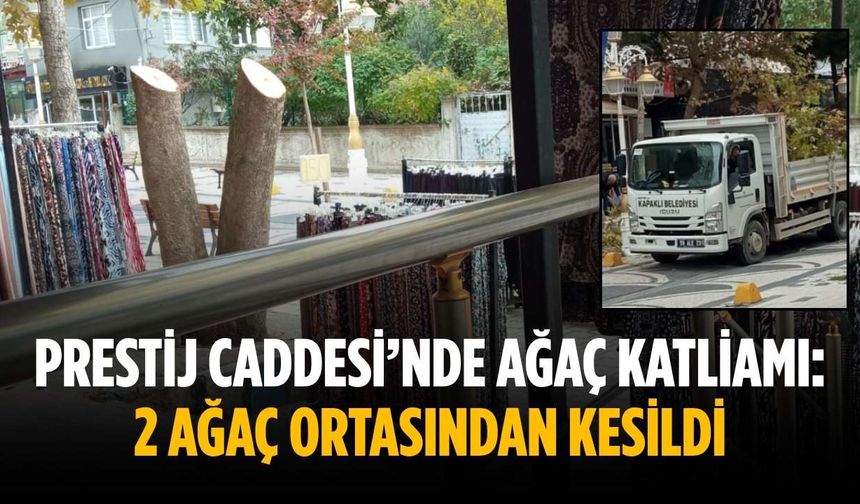 Prestij Caddesi’nde ağaç katliamı: 2 Ağaç ortasından kesildi