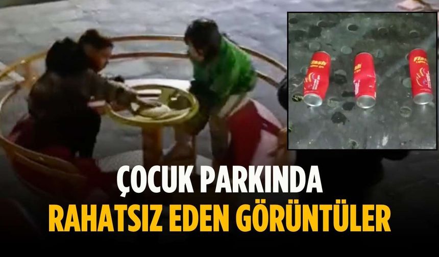 Çocuk parkında rahatsız eden görüntüler