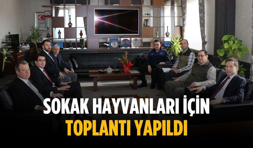 Sokak hayvanları için toplantı yapıldı