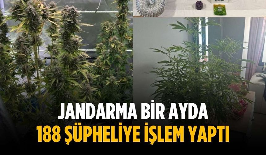 Jandarma bir ayda 188 şüpheliye işlem yaptı