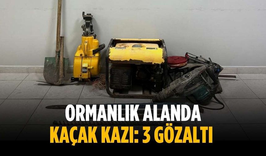 Ormanlık alanda kaçak kazı: 3 gözaltı
