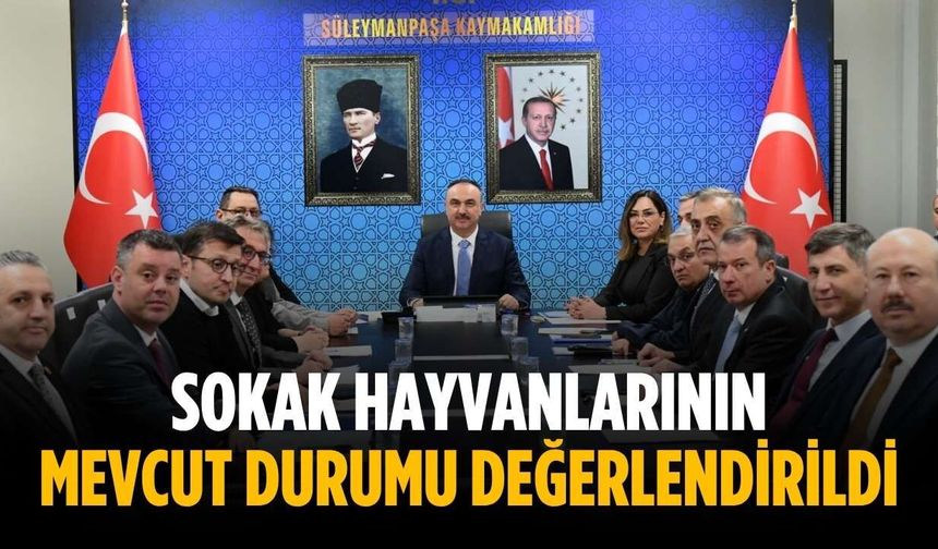 Sokak hayvanlarının mevcut durumu değerlendirildi