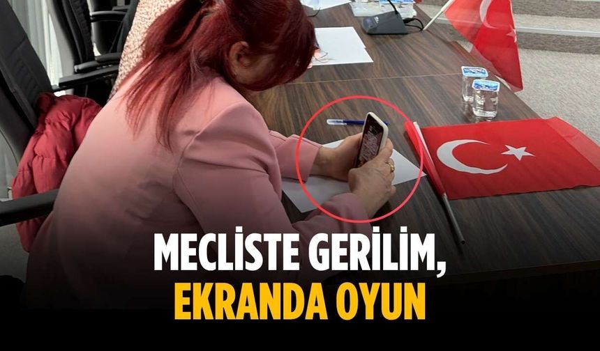 Mecliste gerilim, ekranda oyun