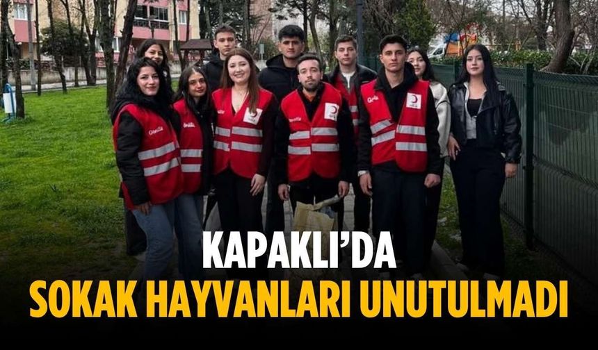 Kapaklı’da sokak hayvanları unutulmadı