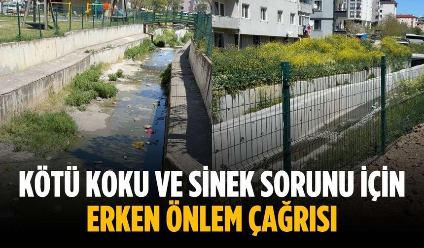 Kötü koku ve sinek sorunu için erken önlem çağrısı
