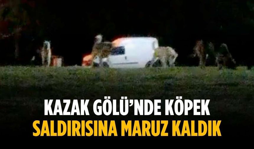 “Kazak Gölü’nde köpek saldırısına maruz kaldık”