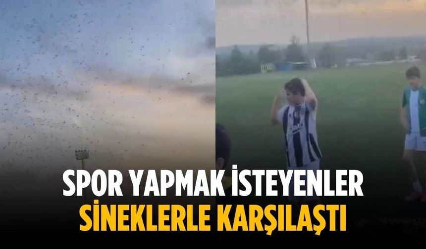 Spor yapmak isteyenler sineklerle karşılaştı