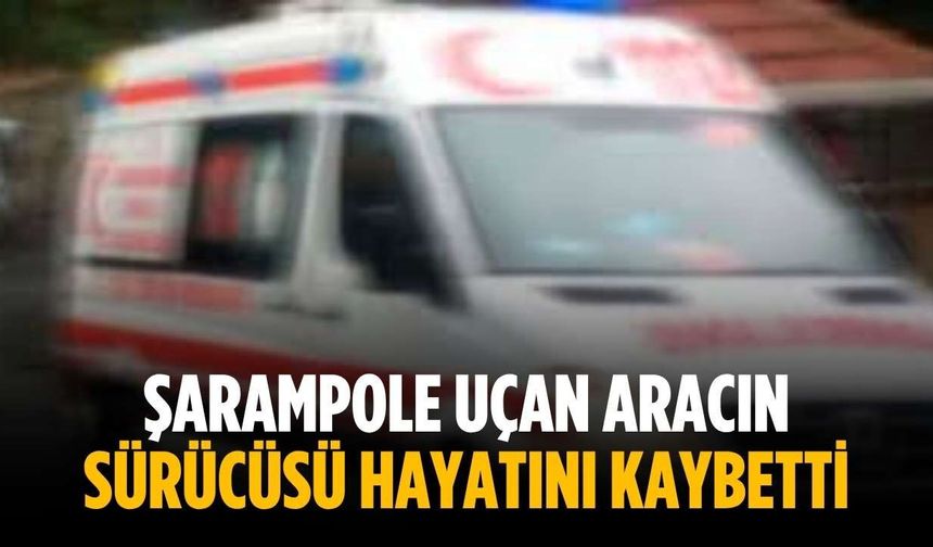 Şarampole uçan aracın sürücüsü hayatını kaybetti