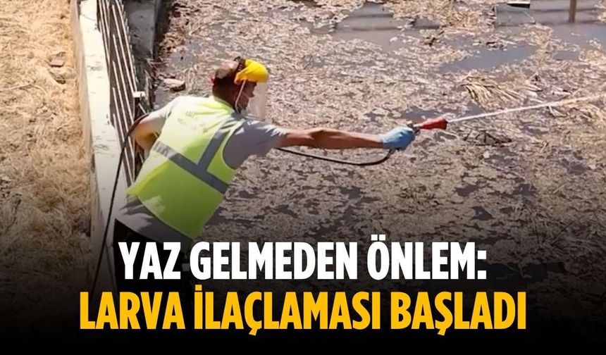 Yaz gelmeden önlem: Larva ilaçlaması başladı