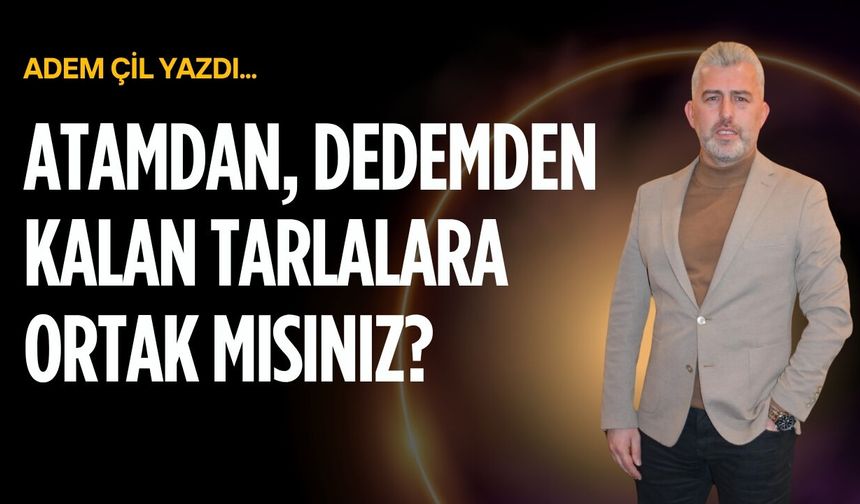 Atamdan, dedemden kalan tarlalara ortak mısınız?