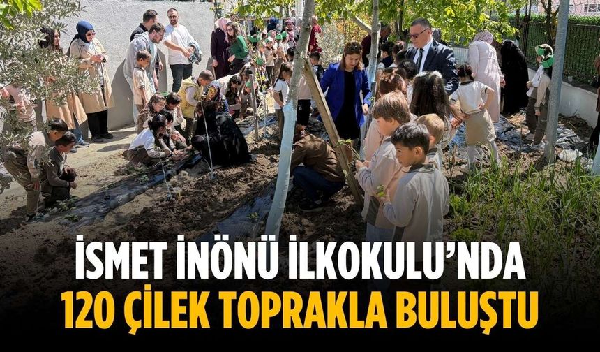 İsmet İnönü İlkokulu’nda 120 çilek toprakla buluştu