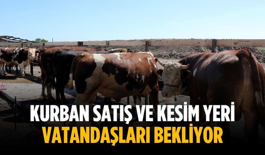 Kurban satış ve kesim yeri vatandaşları bekliyor