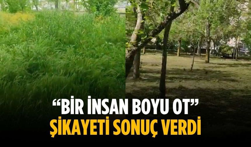“Bir insan boyu ot” Şikayeti sonuç verdi