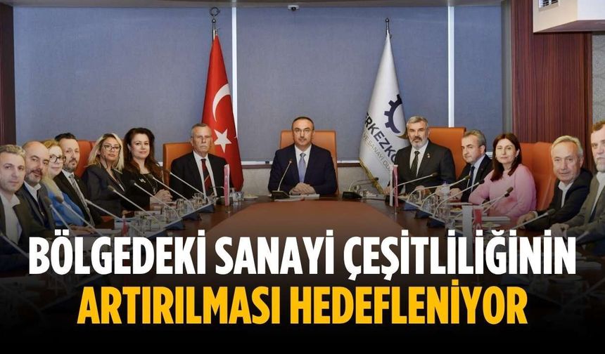 Bölgedeki sanayi çeşitliliğinin artırılması hedefleniyor